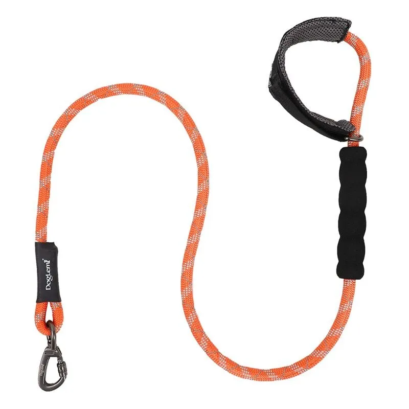 1.2M Reflective Dog Leash