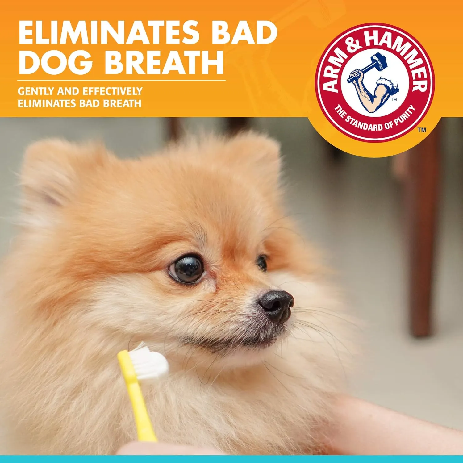 Arm & Hammer for Pets Dental Toothpaste for Dogs | No More Doggie Breath | Safe for All Dogs and Puppies | Chicken Flavor Dog Toothpaste - 2.5 Ounce - 3 Pack