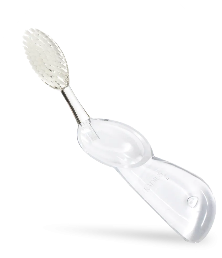 Big Brush with Replaceable Head