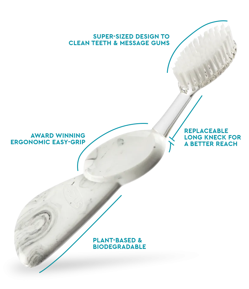 Big Brush with Replaceable Head