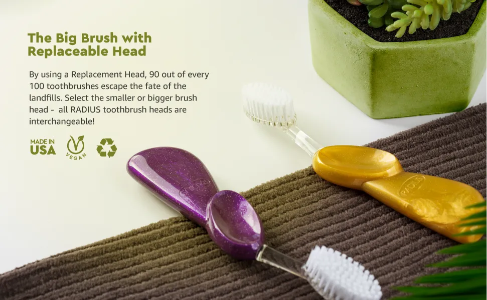 Big Brush with Replaceable Head