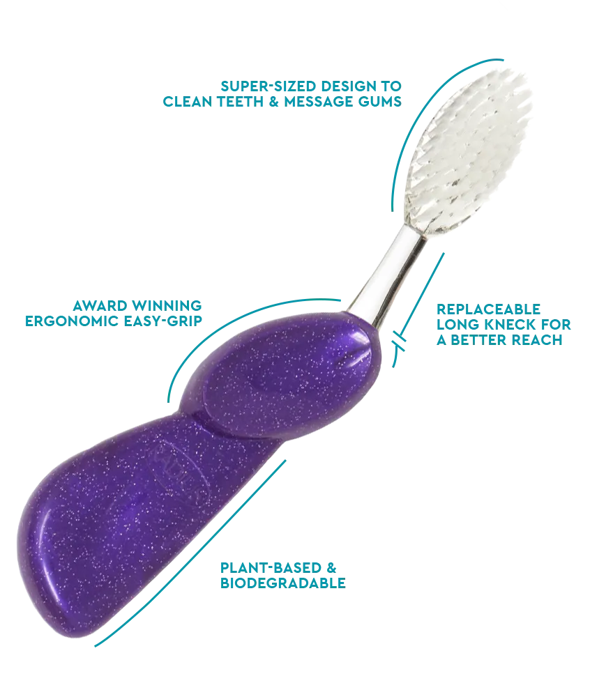 Big Brush with Replaceable Head