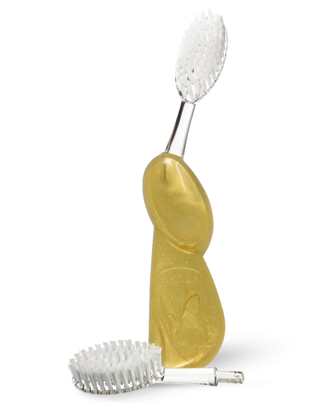 Big Brush with Replaceable Head