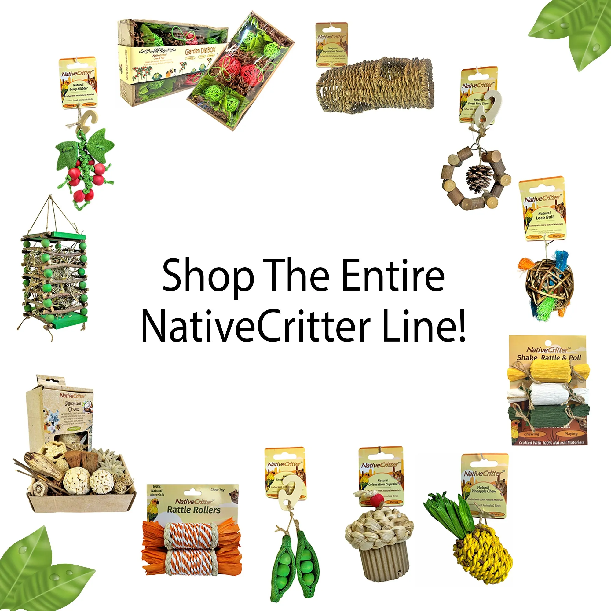 Crinkle Barrel With Apple Sticks