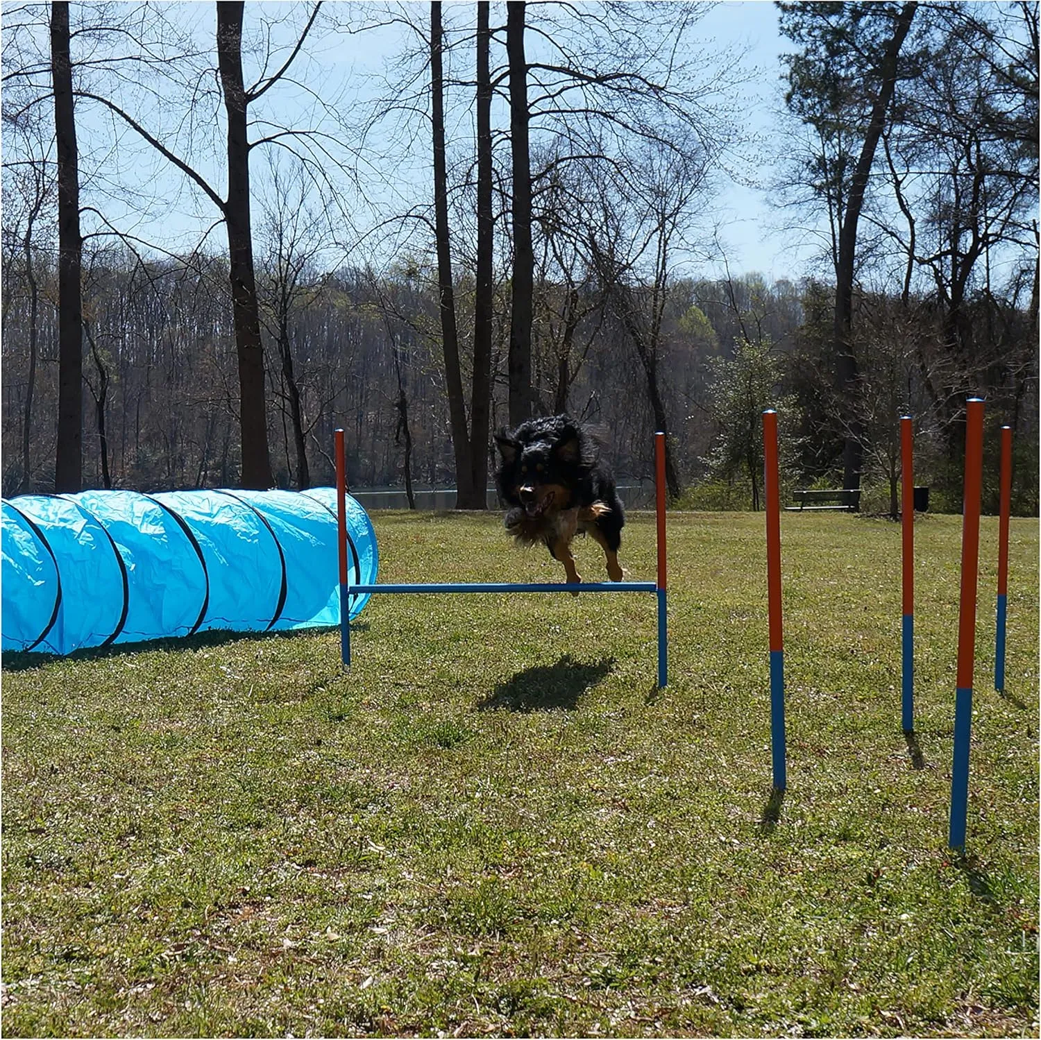 Dog Agility Set - Dog Agility Equipment - 1 Dog Tunnel, 6 Weave Poles, 1 Dog Agility Jump - Canine Agility Set for Dog Training, Obedience, Rehabilitation