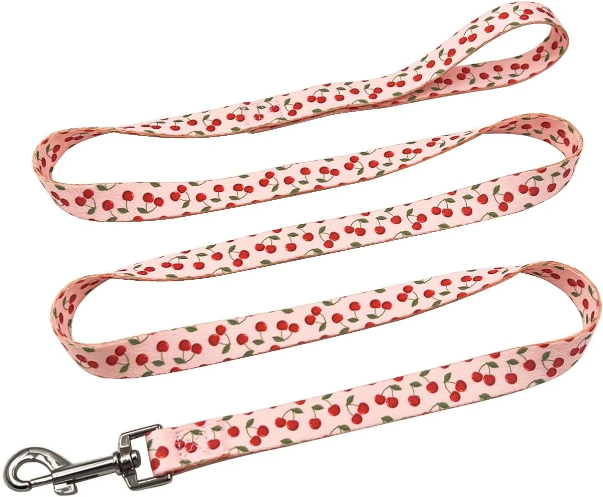 Dog Collar and Leash Set, Cherry Pattern, Polyester Material, 5ft Leash, for Puppy Dogs.(Extra Small,Pink Cherry)