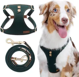 Dog Harness, No Pull Dogs Harness and Multi-Function Leash Set for Medium Dogs Easy Walk Everyday Adjustable Soft Dog Vest Harness Fashionable Dog Accessories Denim Vintage Green-Button-M(16lb-35lb)