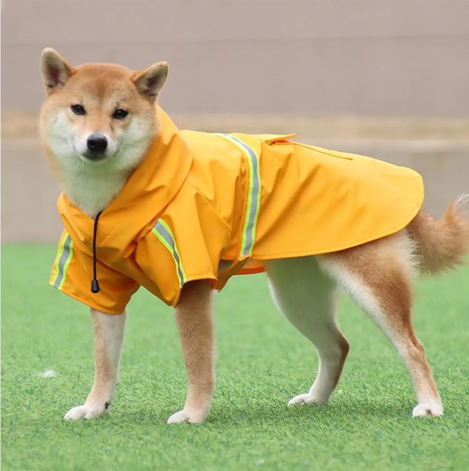 Dog Raincoat, Adjustable Drawstring Dog Rain Jacket for Medium Small Dogs, Waterproof Dog Hooded Poncho with Reflective Stripe(Yellow,2XL)