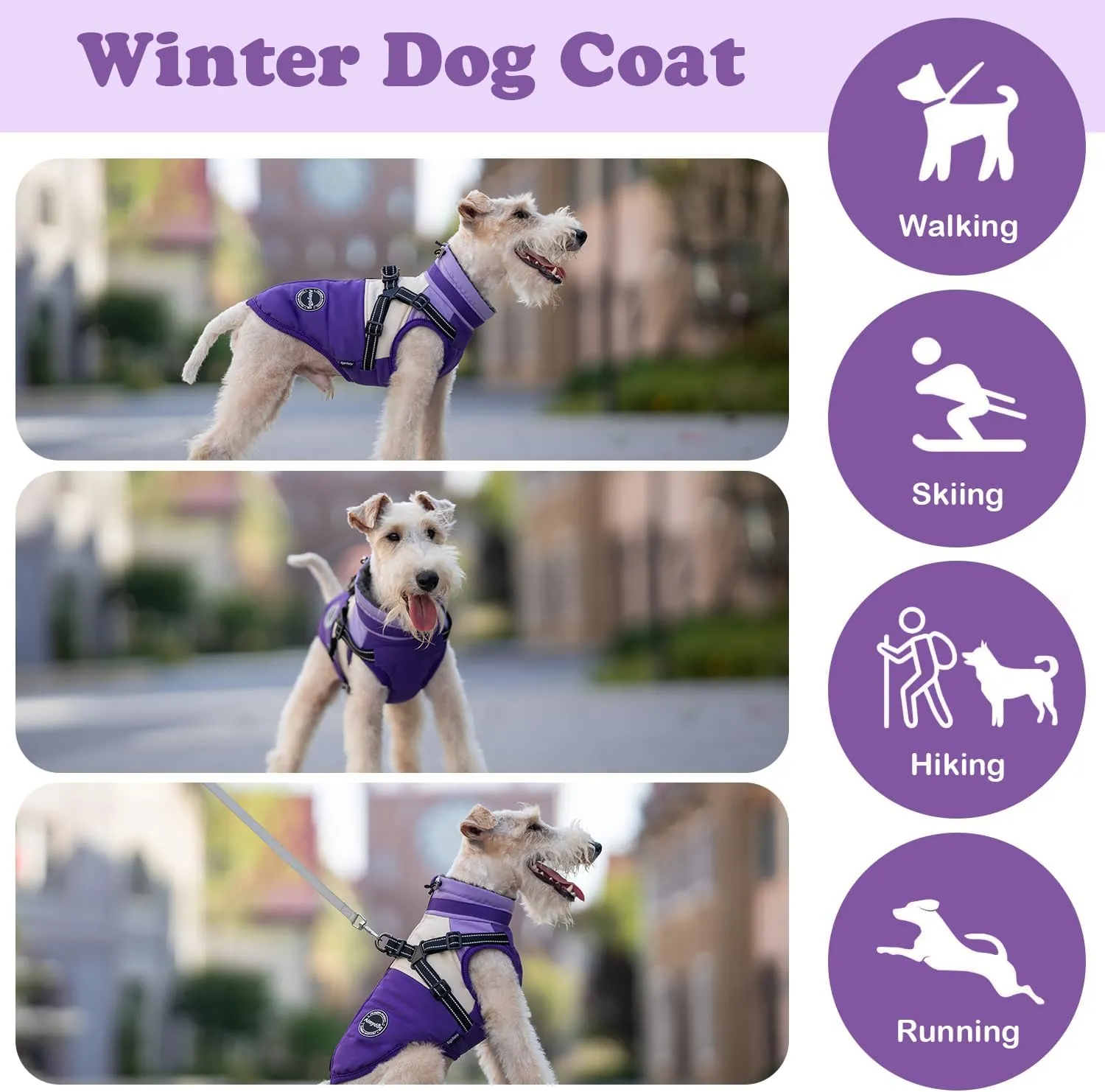 Dog Winter Coat, Warm Dog Jacket - Windproof Turtleneck, Reflective Snowsuit - Small, Medium, Large, Purple