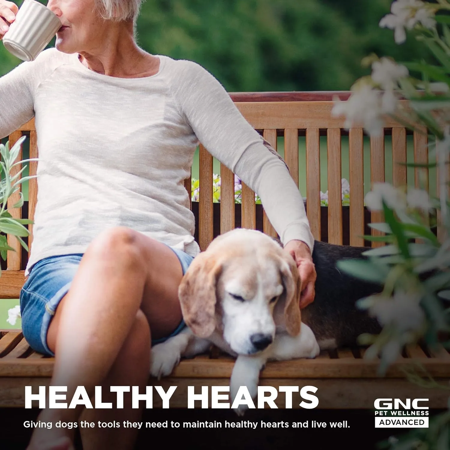 GNC Pets Advanced Dog Supplements for Cardiovascular Support| 90 Ct Soft Chew Dog Supplements for Cardio Health and Heart Health | Easy to Chew Dog Supplements, Made in The USA (Pack of 2)