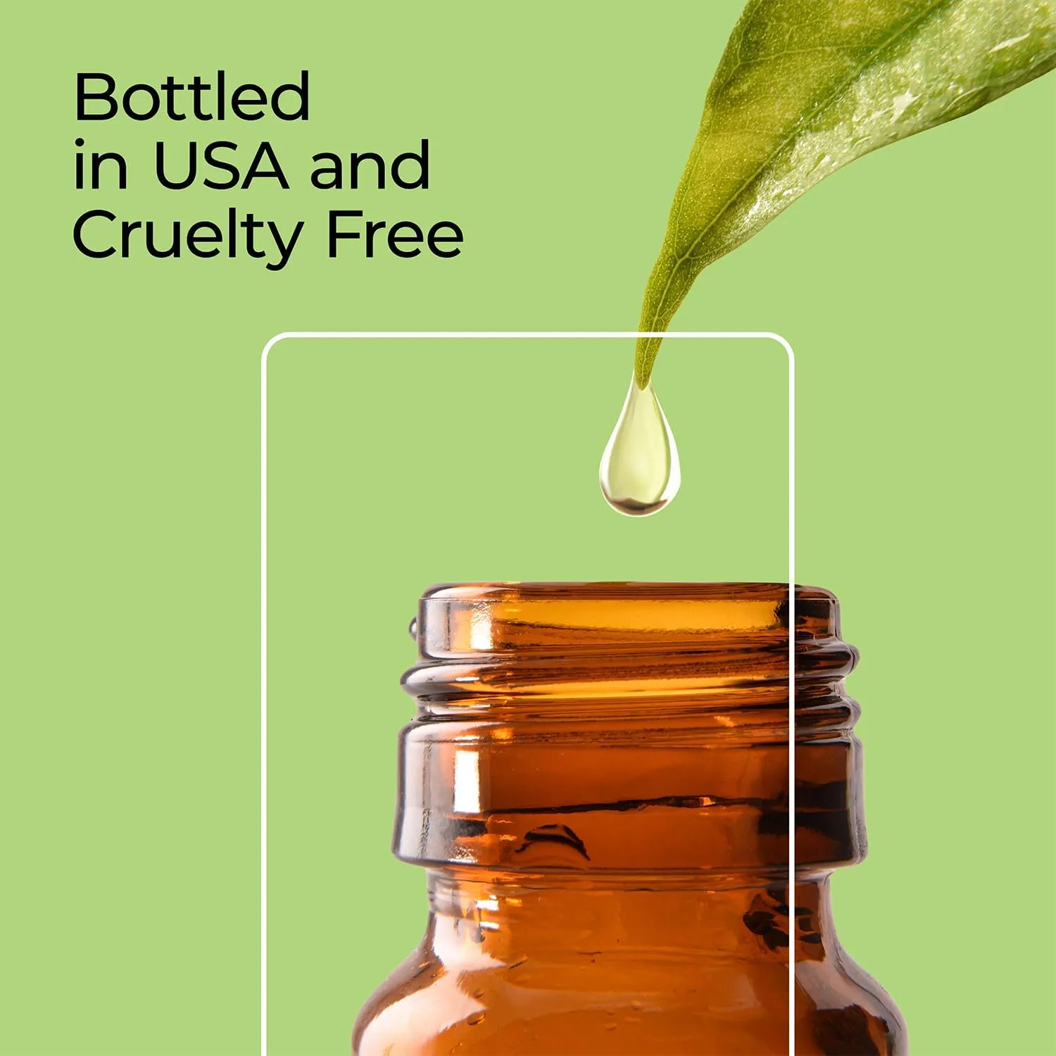 Good Essential Professional Pine Forest Fragrance Oil 1 fl oz (30 ml) - Aromatherapy Scent for Diffuser, Candles, Soaps, Perfume, Candle Making