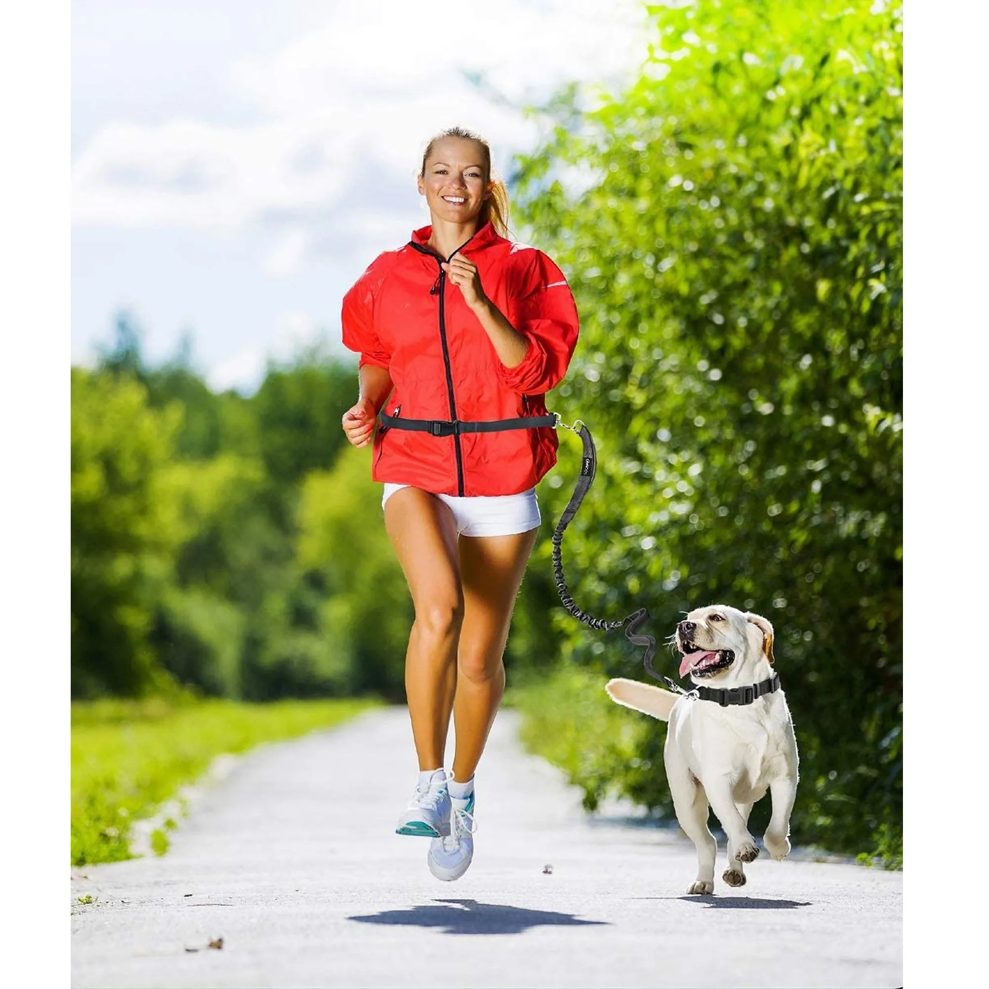 GOOPAWS No Pull Hand Free Bungee Dog Leash for Hiking, Running, Green