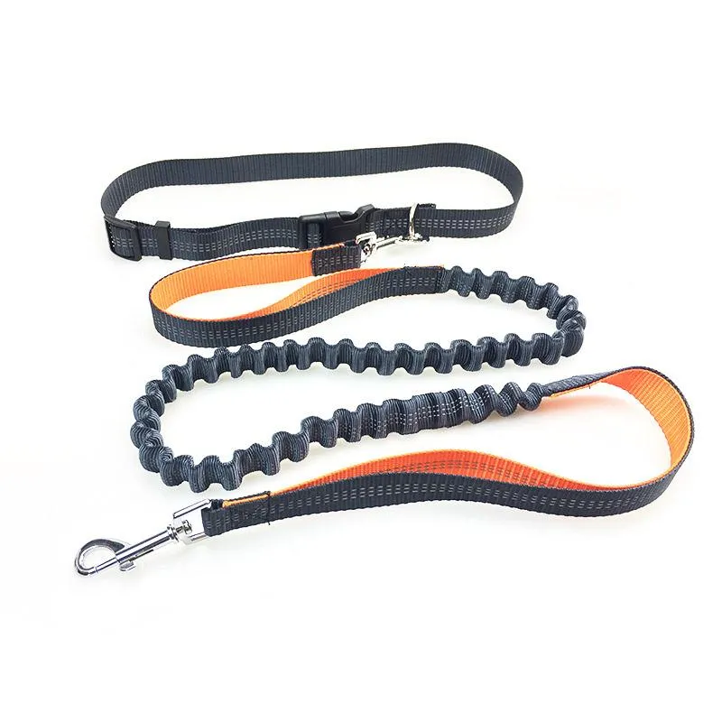 Hands Free Dog Running Leash