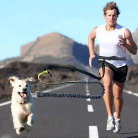 Hands Free Dog Running Leash