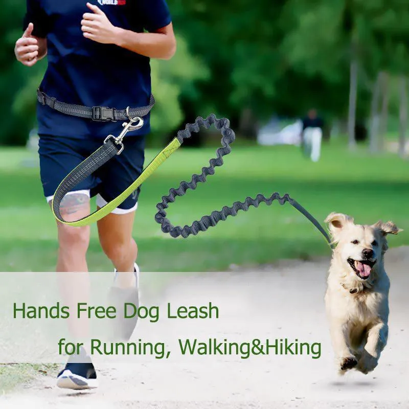 Hands Free Dog Running Leash