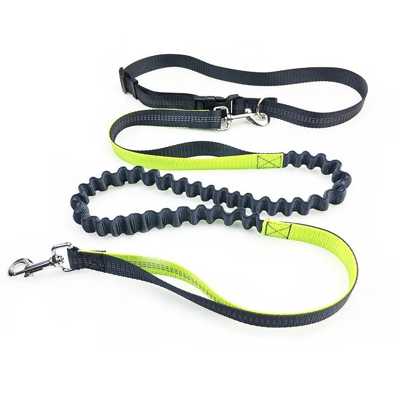 Hands Free Dog Running Leash