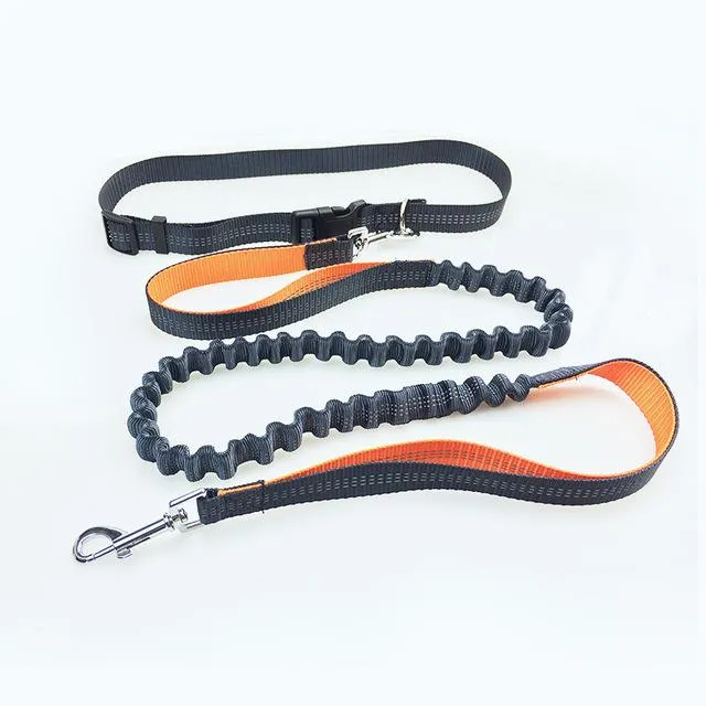 Hands Free Dog Running Leash