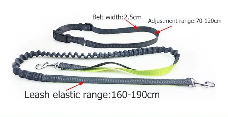 Hands Free Dog Running Leash