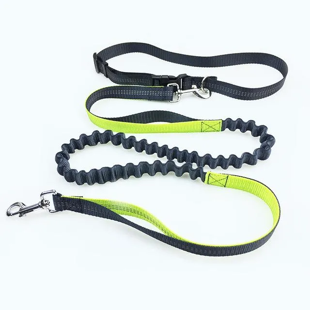 Hands Free Dog Running Leash