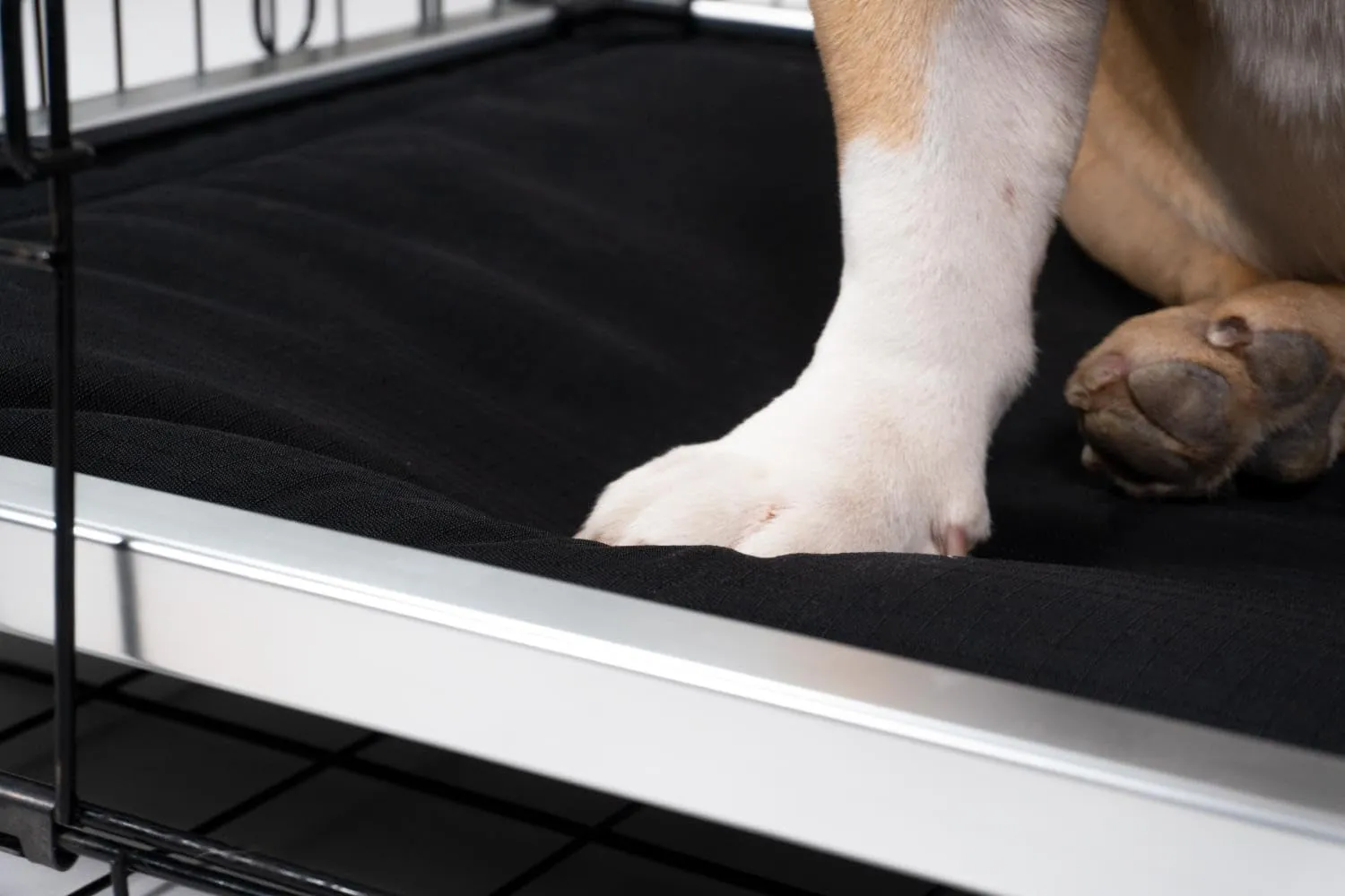K9 Ballistics Chew Proof Armored Padded Dog Crate Bed, Virtually Indestructible, Legs Included (Sandstone, Medium (35" L x 22" W x 4.5" H))