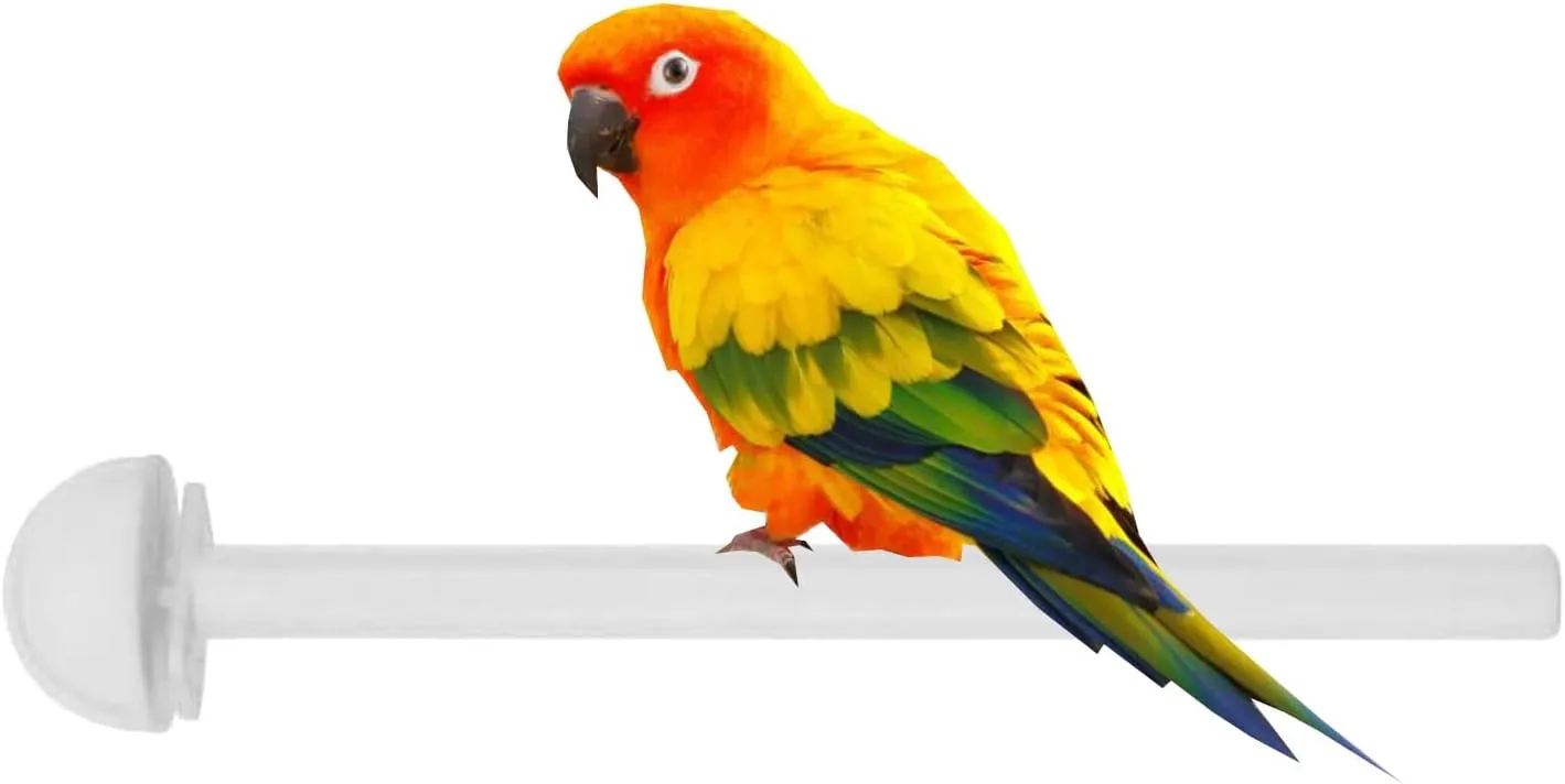 Lot of 4 Bird Parrot Cage Universal Heavy Duty Plastic Stand Perches Holders (8-Inch, White)