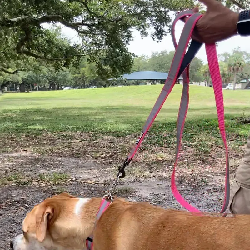 Padded 2 Handle Reflective Leash 6-FT