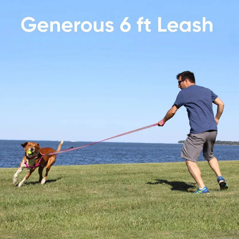 Padded 2 Handle Reflective Leash 6-FT