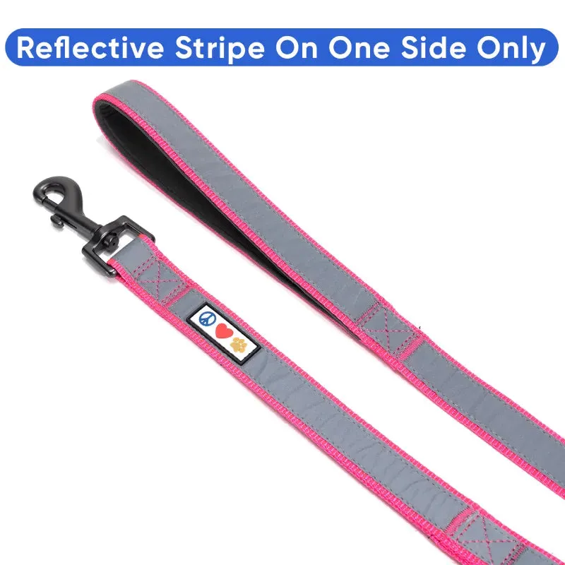 Padded 2 Handle Reflective Leash 6-FT