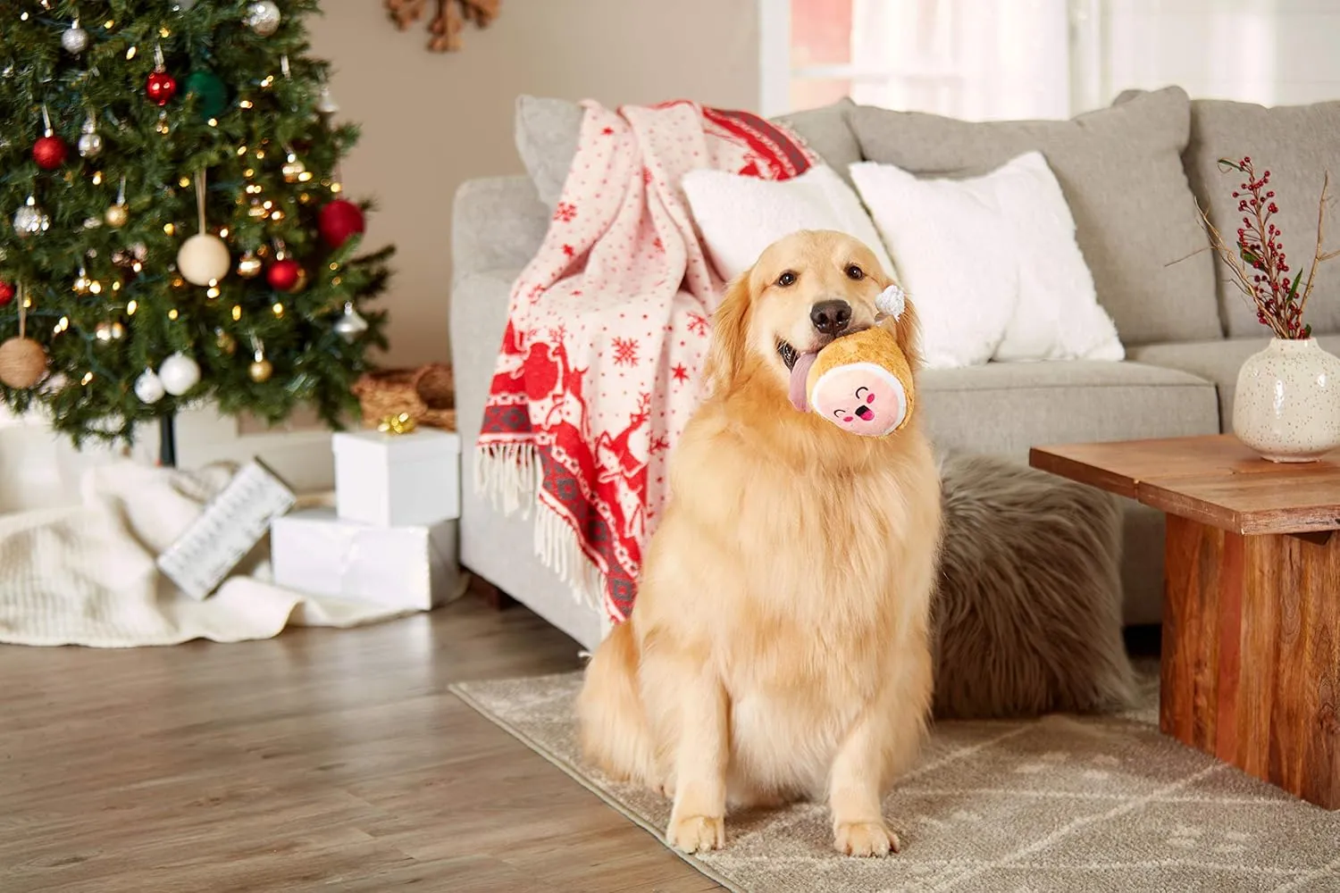 Pearhead Pet M.C. Hammy Plush and Rope Squeaker Dog Toy, Thanksgiving Fall Holiday Ham Pet Toy, Small or Medium Dog Durable Fetch Toy