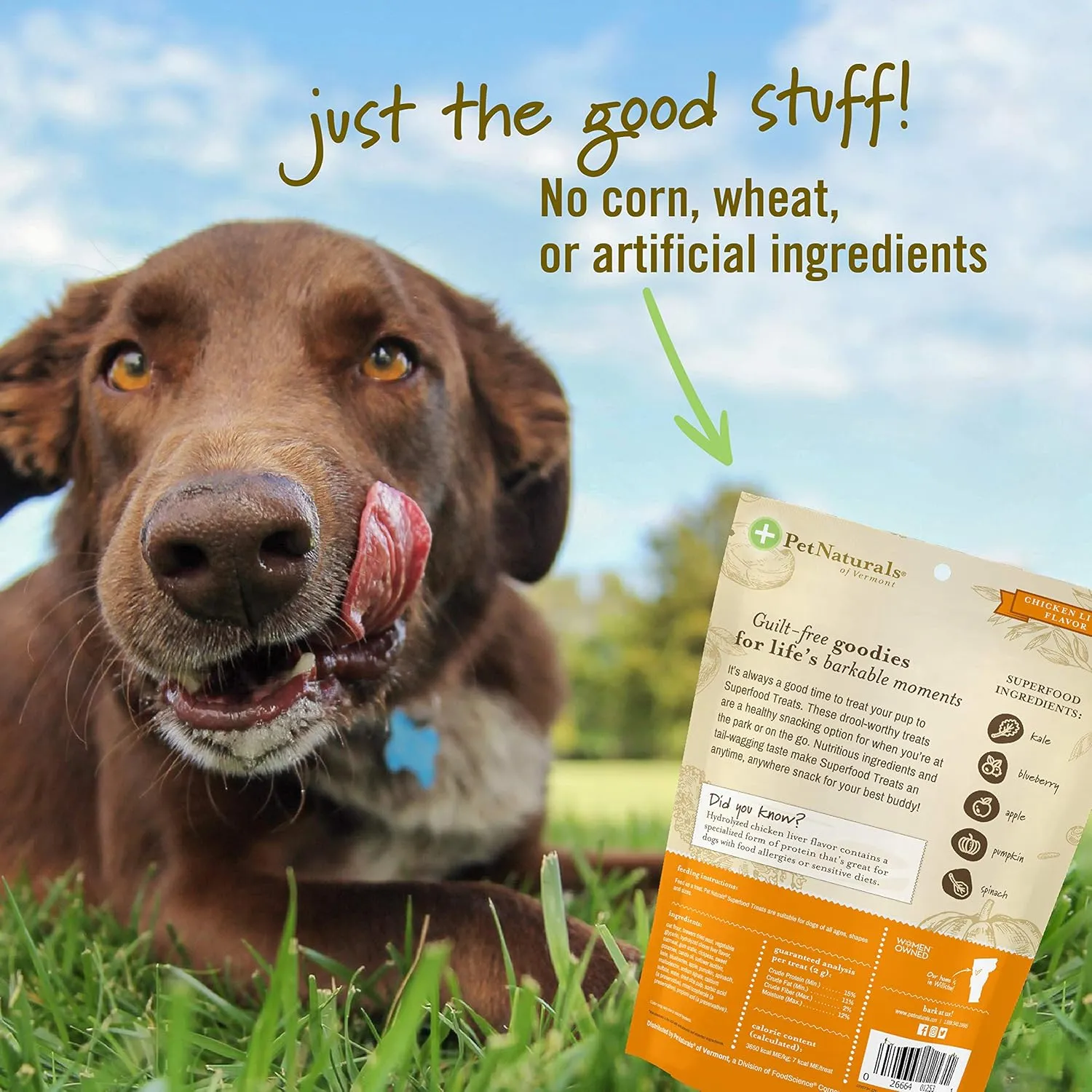 Pet Naturals Superfood Dog Treats with Blueberry and Kale - No Corn, Wheat or Artificial Ingredients - Healthy Snacks for Good Behavior and Training - Chicken Flavor, 100 Chews (Pack of 1)