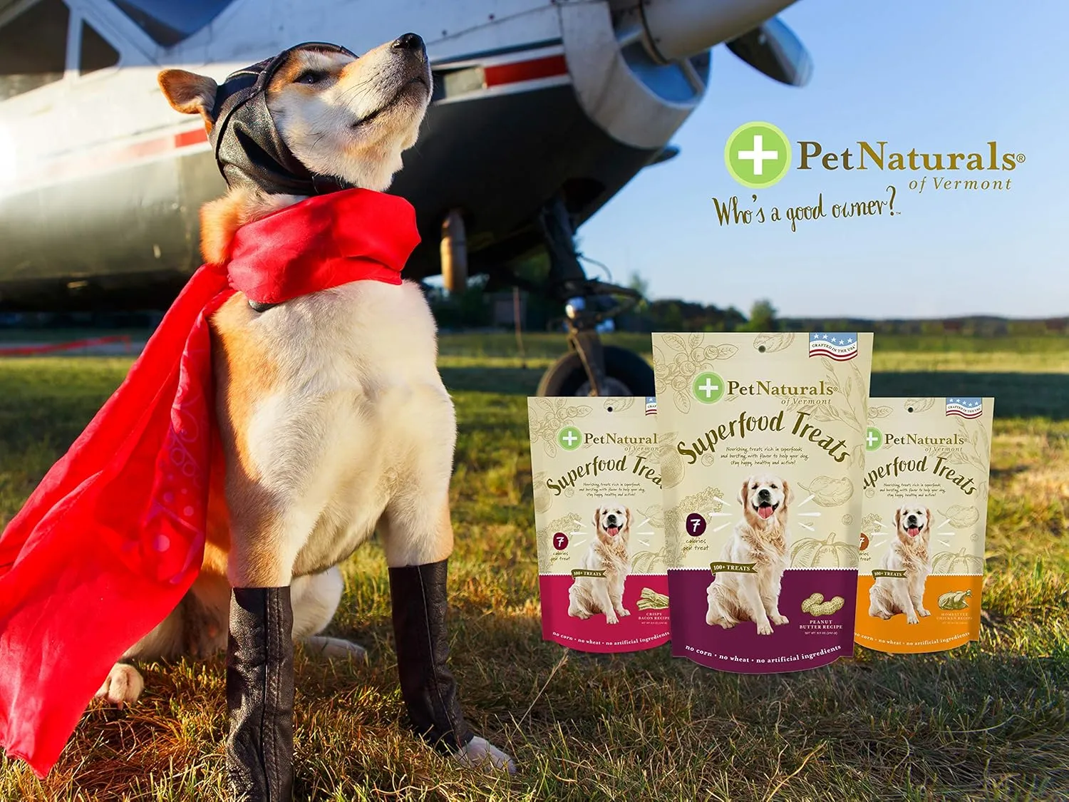 Pet Naturals Superfood Dog Treats with Blueberry and Kale - No Corn, Wheat or Artificial Ingredients - Healthy Snacks for Good Behavior and Training - Chicken Flavor, 100 Chews (Pack of 1)