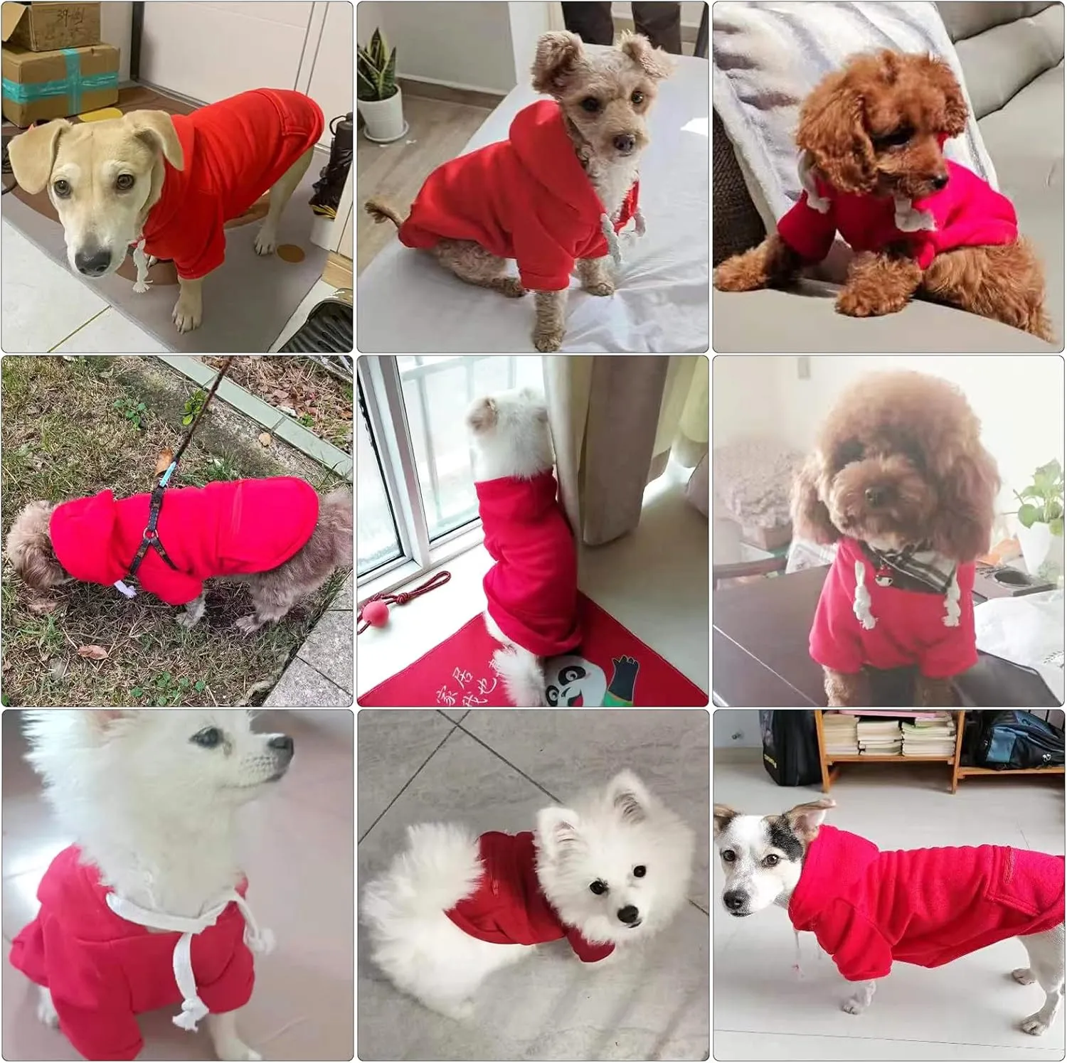 PETCARE Small Dog Sweater Hoodies Pet Red Hooded Soft Fleece Sweatshirts with Pocket Fall Winter Puppy Cat Sweaters Warm Clothes for Small Dogs Shih Tzu Yorkies French Bulldog Outfits Costume