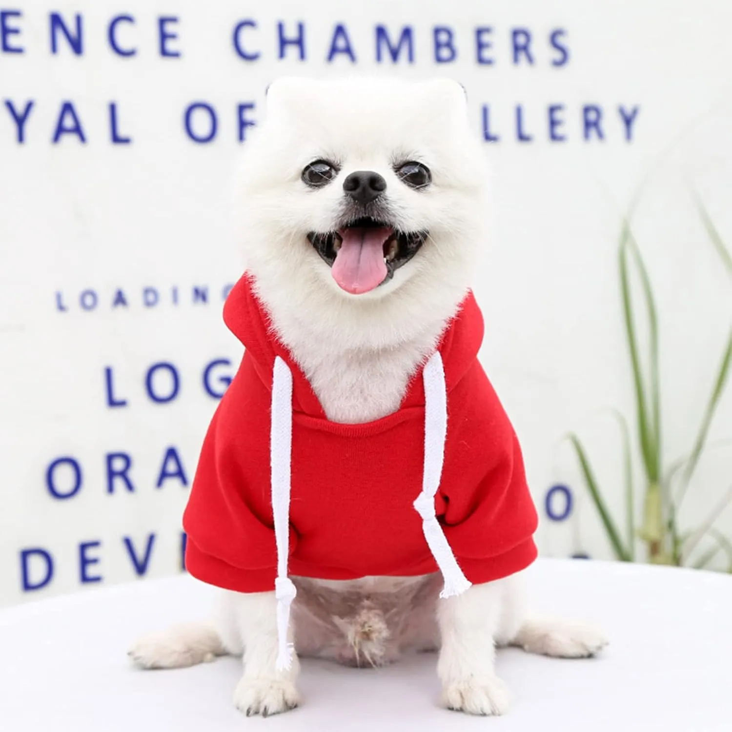 PETCARE Small Dog Sweater Hoodies Pet Red Hooded Soft Fleece Sweatshirts with Pocket Fall Winter Puppy Cat Sweaters Warm Clothes for Small Dogs Shih Tzu Yorkies French Bulldog Outfits Costume