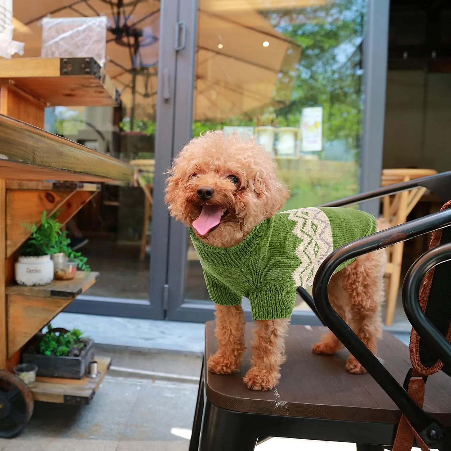 Queenmore Warm Dog Sweater, Soft Pet Knitwear, Knitted Pullover, Winter Pet Clothes for Small Medium Dogs Cats Green