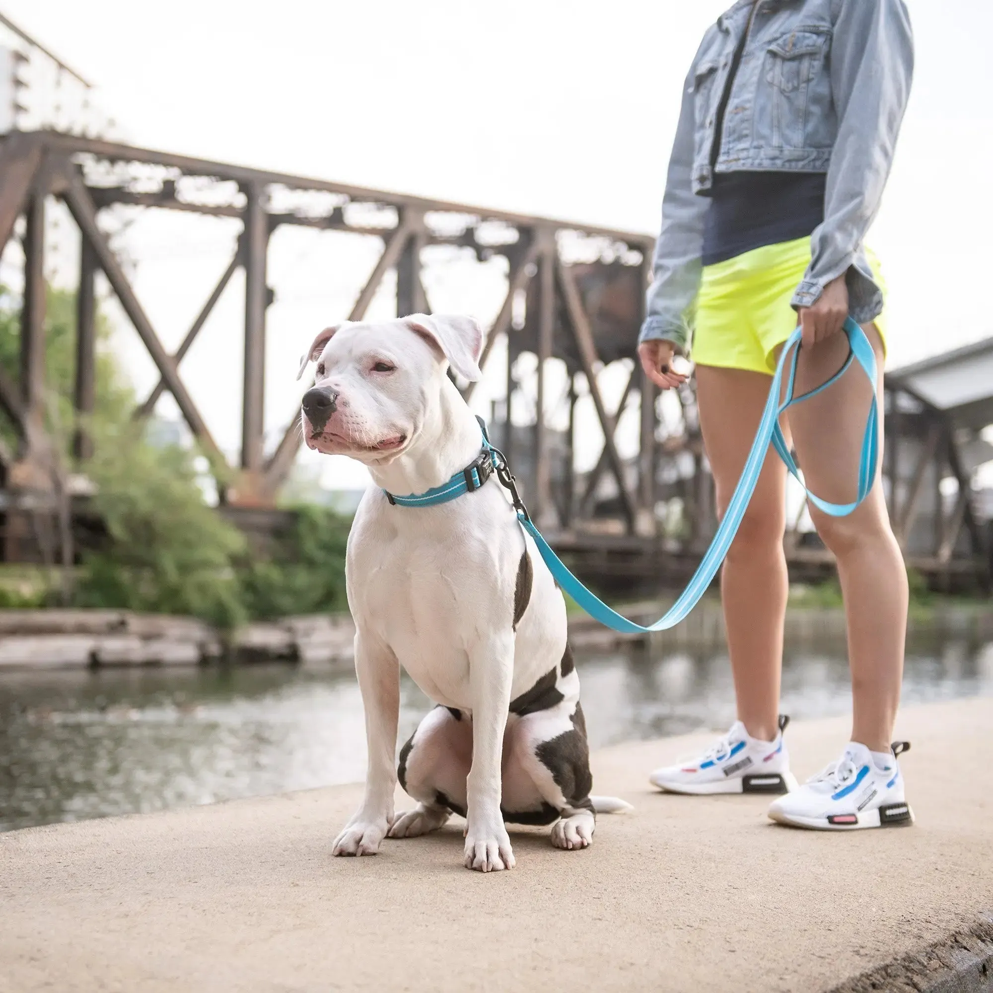 Reflective Dog Leash | Neon Blue