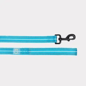 Reflective Dog Leash | Neon Blue