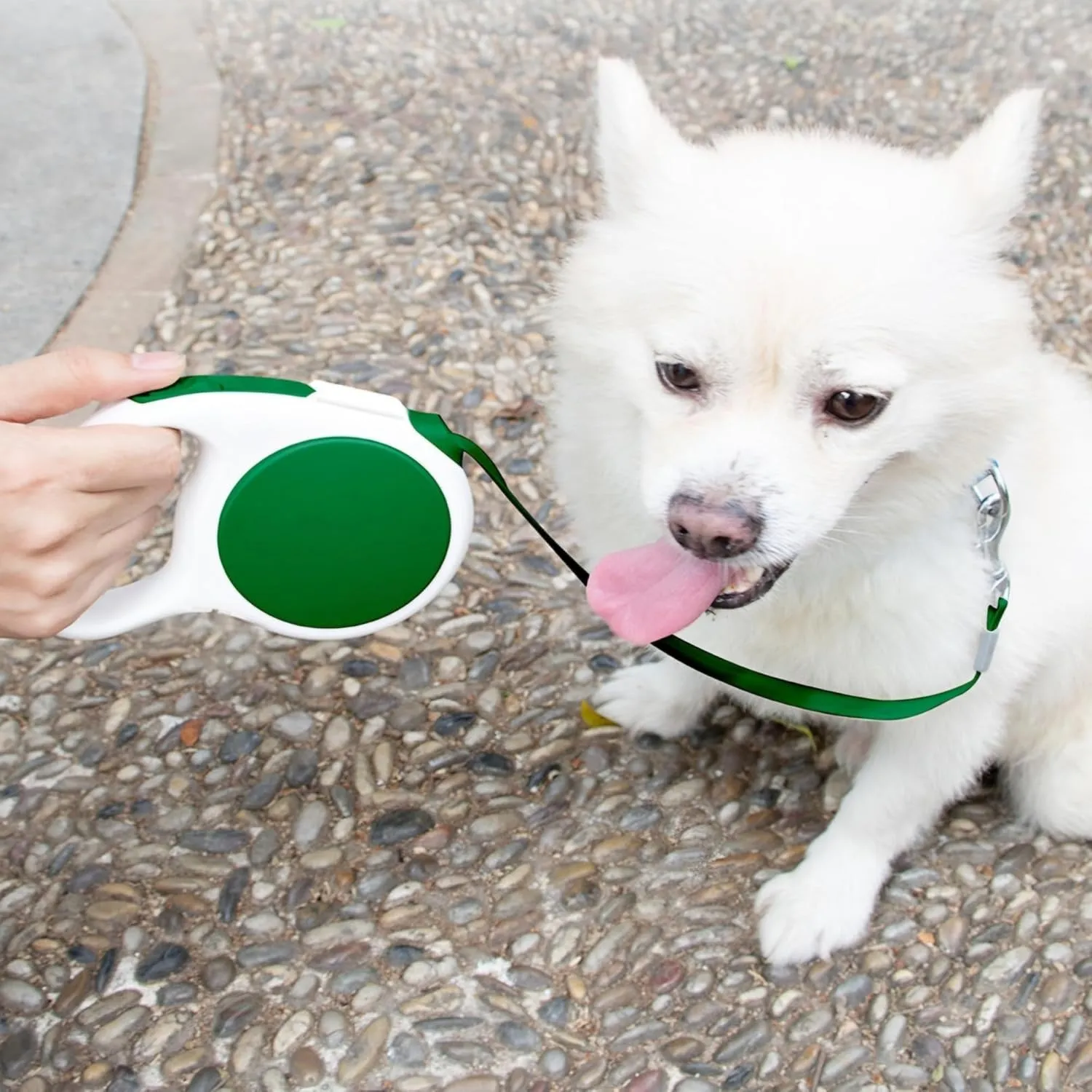 Retractable Dog Leash, 10 ft Lightweight, with Waste Bag Dispenser, Tangle-Free, for Dogs up to 33 lbs, Retro Green