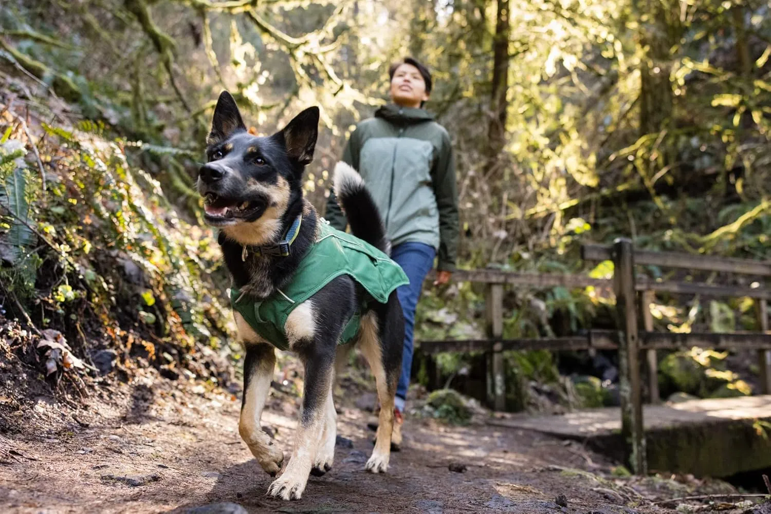 Ruffwear, Overcoat Fuse Jacket Harness Combo for Dogs, Evergreen, XX-Small