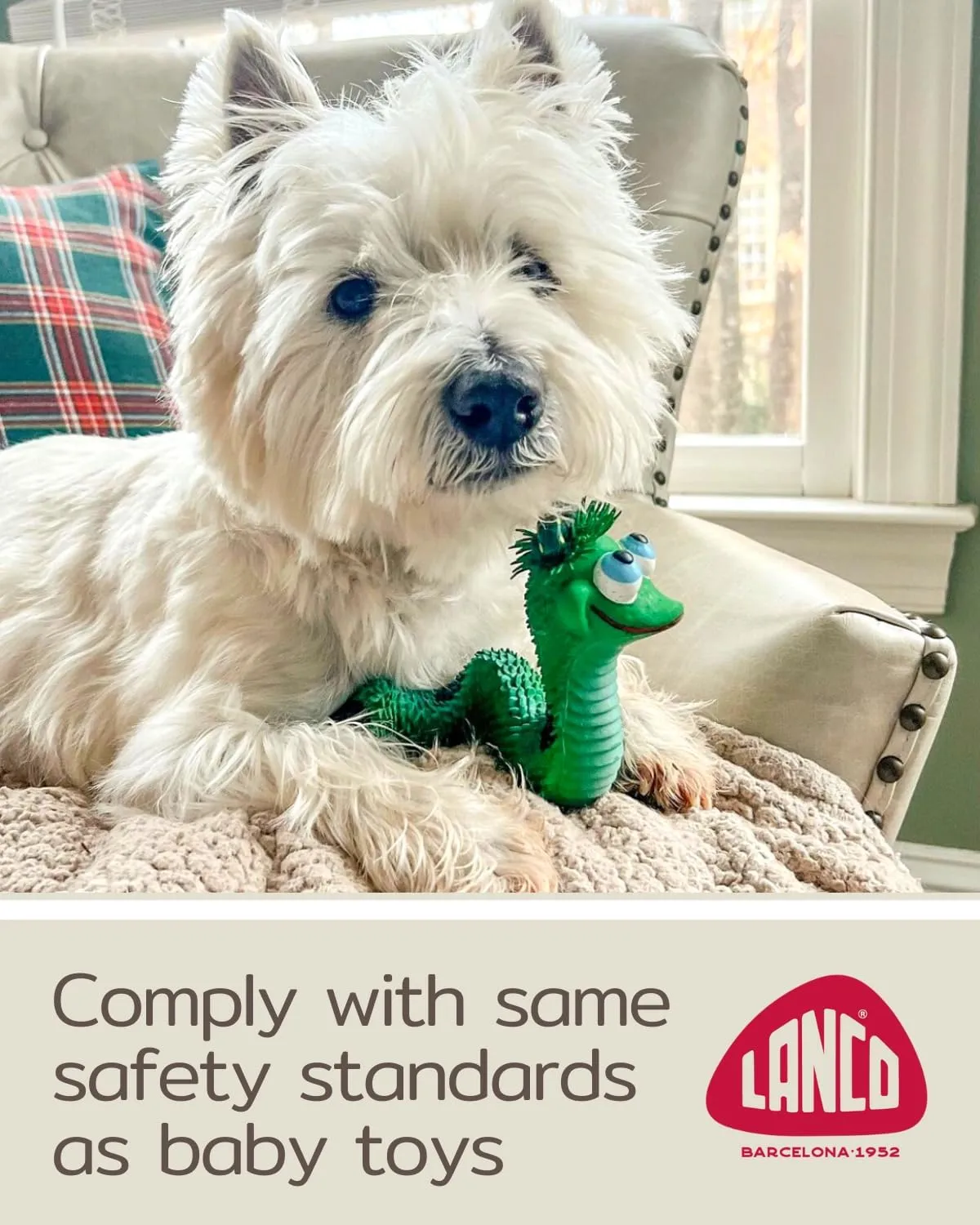 Smiley Snake Sensory Squeaky Rubber Dog Toy for Small & Medium Dogs (Green) Natural Rubber (Latex) Lead Chemical-Free Soft Unstuffed
