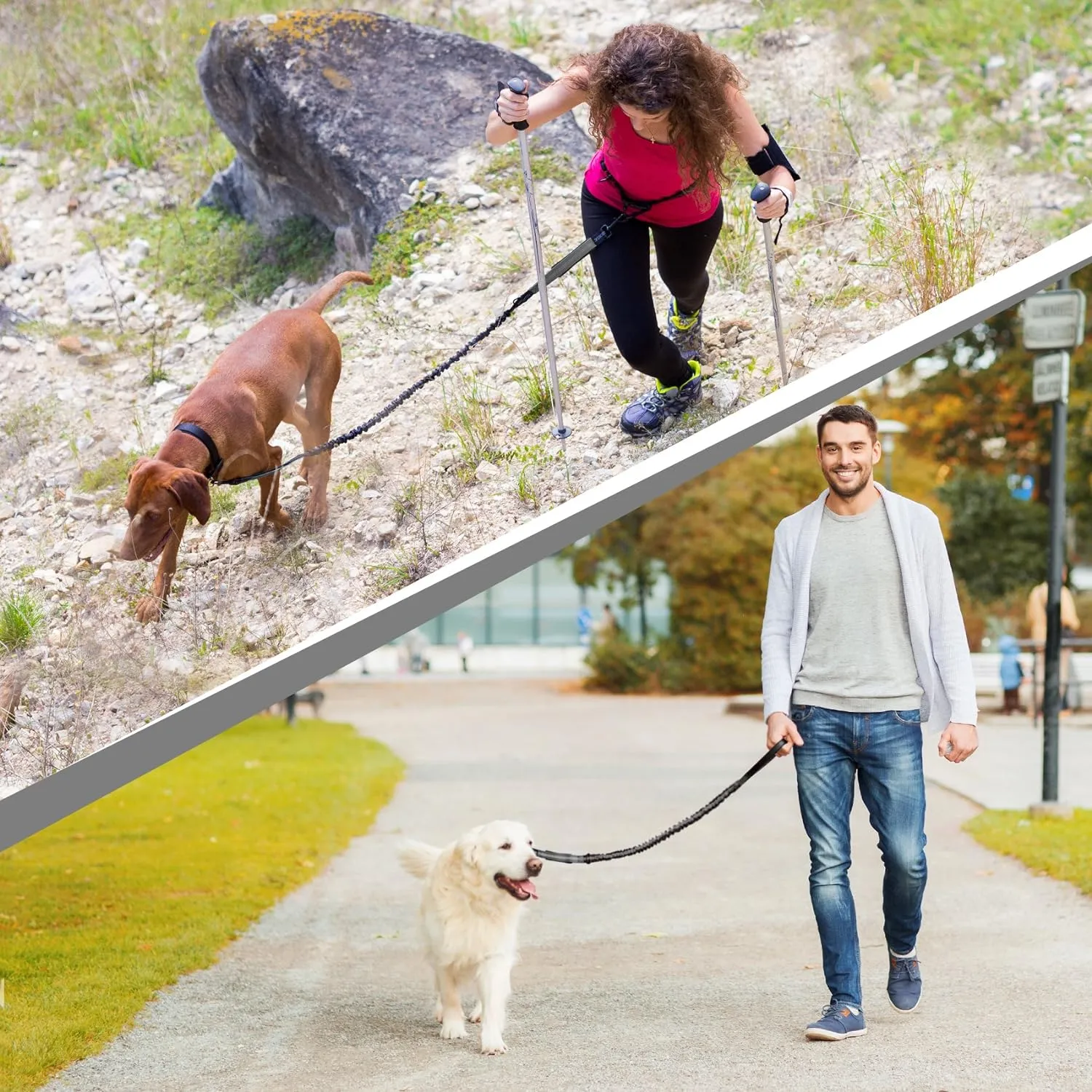SparklyPets - Hands Free Dog Leash with Reflective Stitches - Waist Leash for Dog Walking, Hiking, Training, Jogging, Canicross, Running - for Medium & Large Breeds
