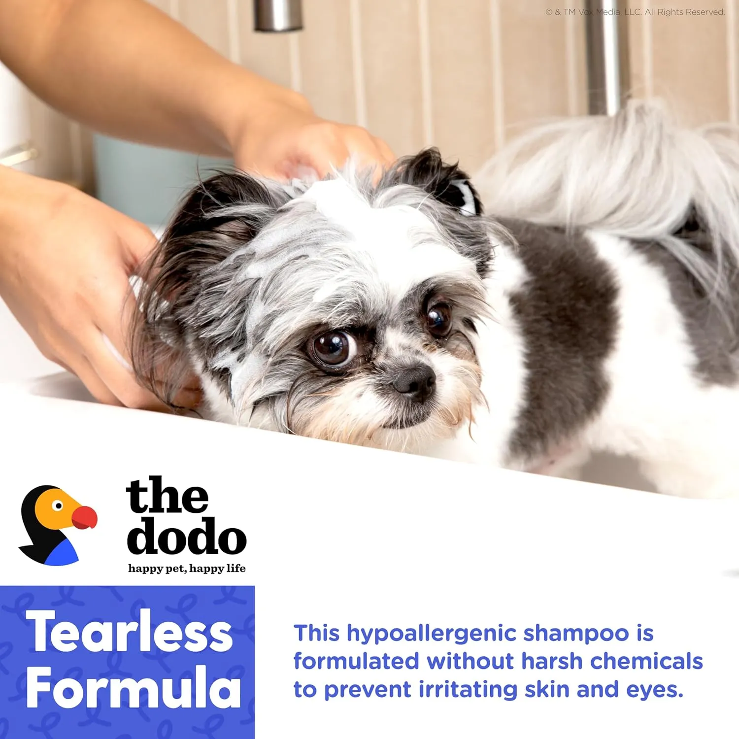 The Dodo Tearless Hypoallergenic Shampoo for Dogs, Fragrance Free with Aloe Vera and Vitamin E ; Hypoallergenic Dog Shampoo; Sensitive Skin Dog Shampoo (Pack of 2)