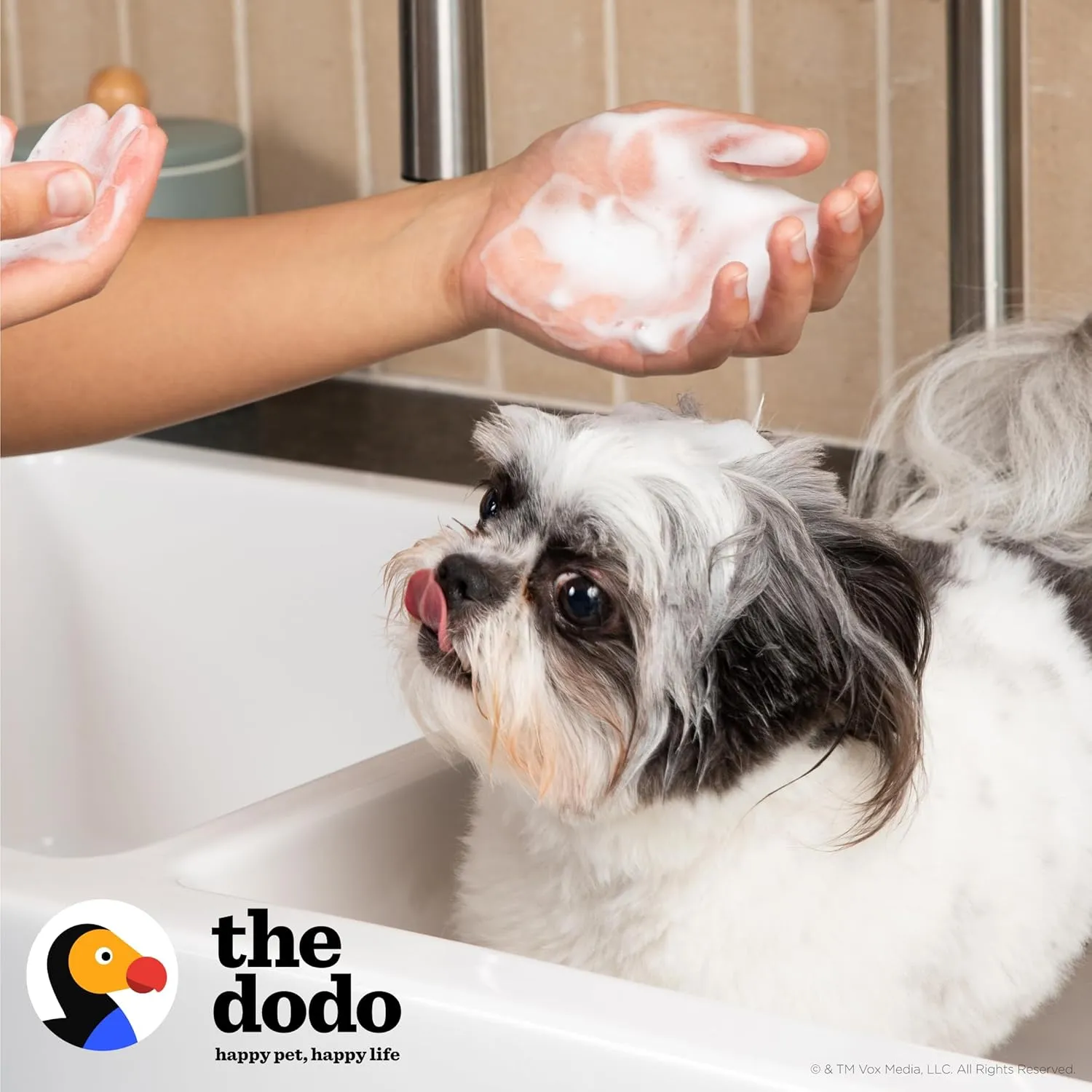 The Dodo Tearless Hypoallergenic Shampoo for Dogs, Fragrance Free with Aloe Vera and Vitamin E ; Hypoallergenic Dog Shampoo; Sensitive Skin Dog Shampoo (Pack of 2)