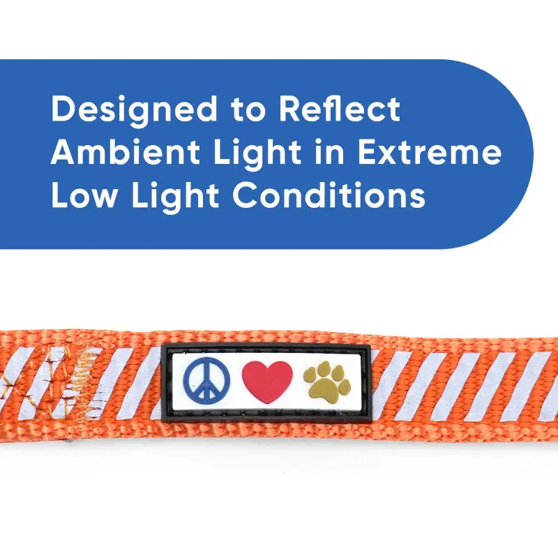 Traffic Reflective Dog Leash 6-FT