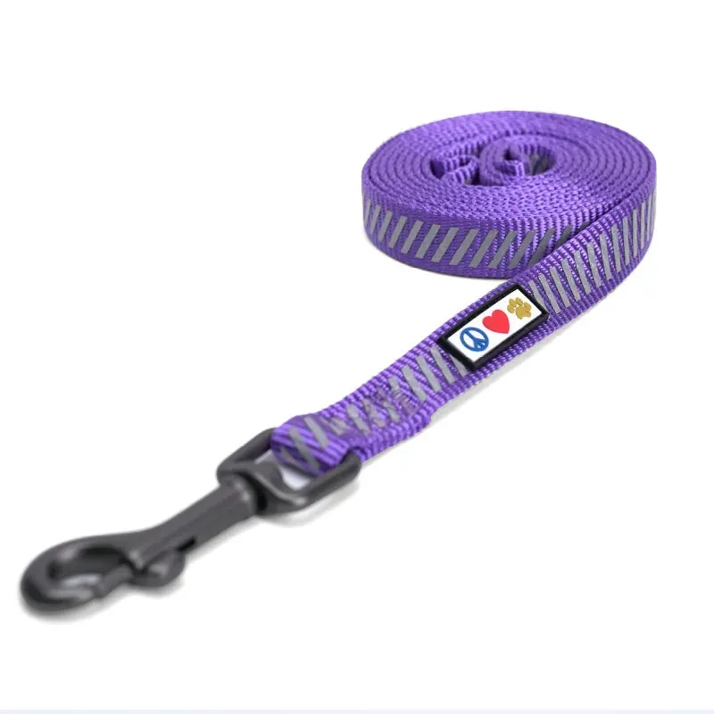 Traffic Reflective Dog Leash 6-FT