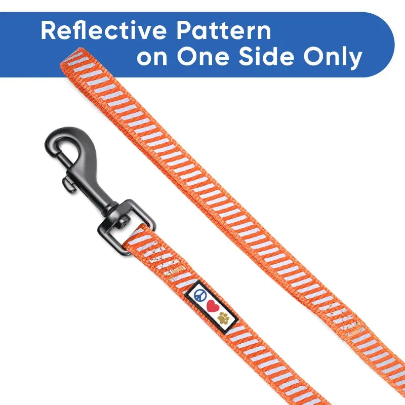 Traffic Reflective Dog Leash 6-FT