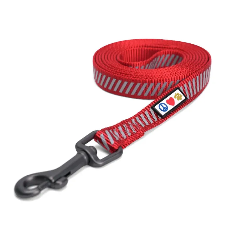 Traffic Reflective Dog Leash 6-FT
