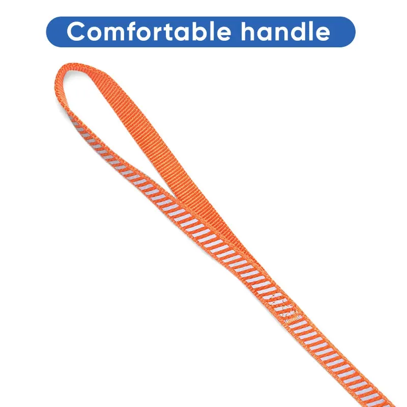Traffic Reflective Dog Leash 6-FT